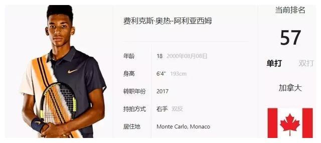 略调整示例 略调整示例