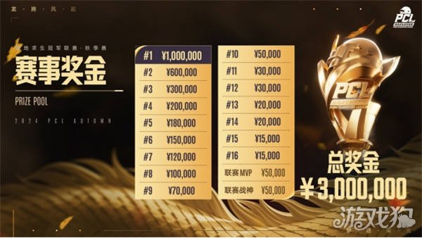 今年的全国 今年的全国